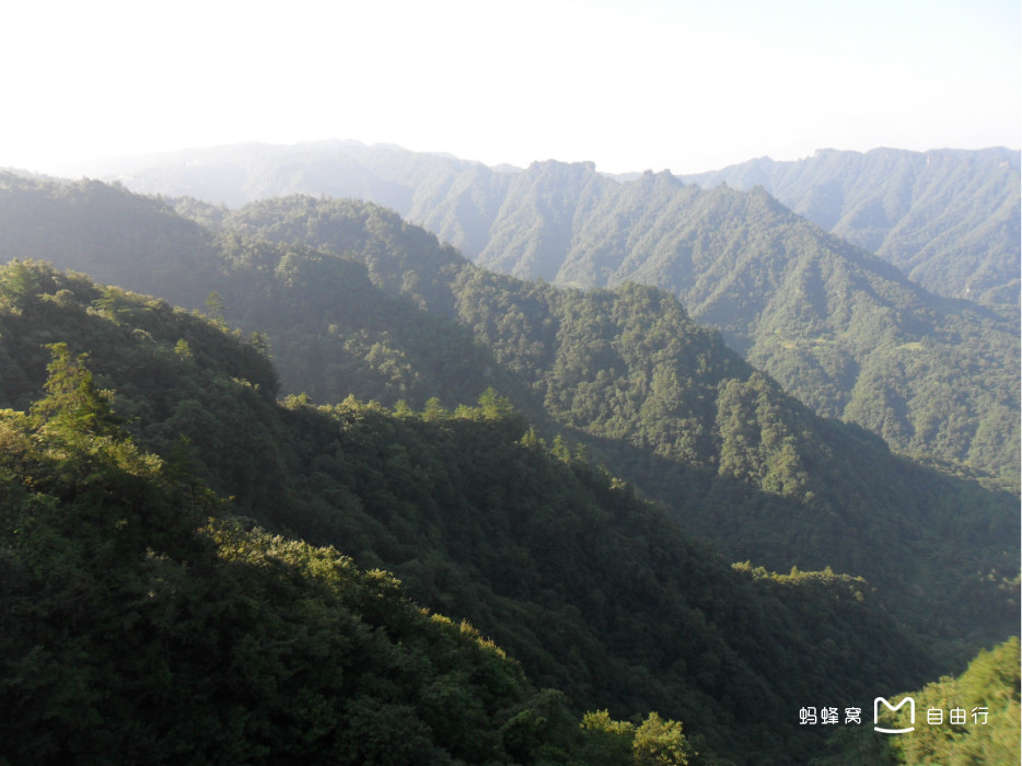 大风堡原始森林