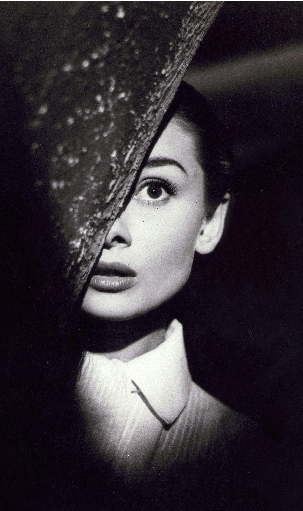 罗马假日