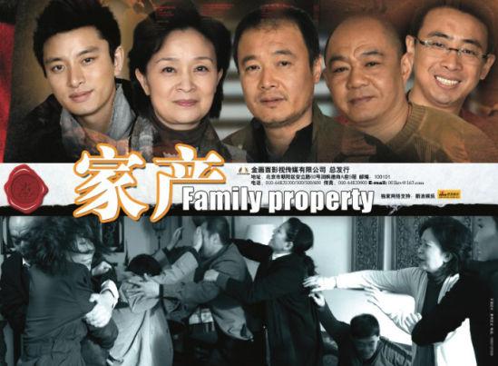 是由金英马影视集团与金画面影视传媒联合出品的36集家庭伦理电视剧