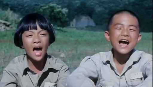 鲁冰花rough——iceflower(1989)