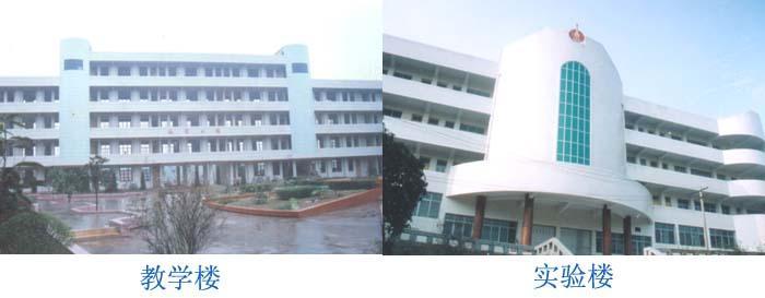  p data-id="gnfaj8m4gl">威远新店中学创办于1956年9月,原名 a