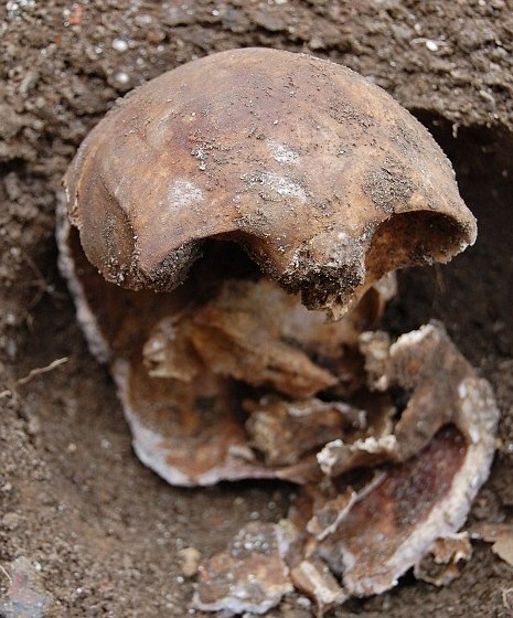 被残忍杀害,警方只在泰晤士河的巴恩斯桥下发现了一些被人切碎的尸块