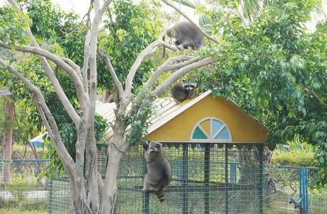 海沧野生动物园