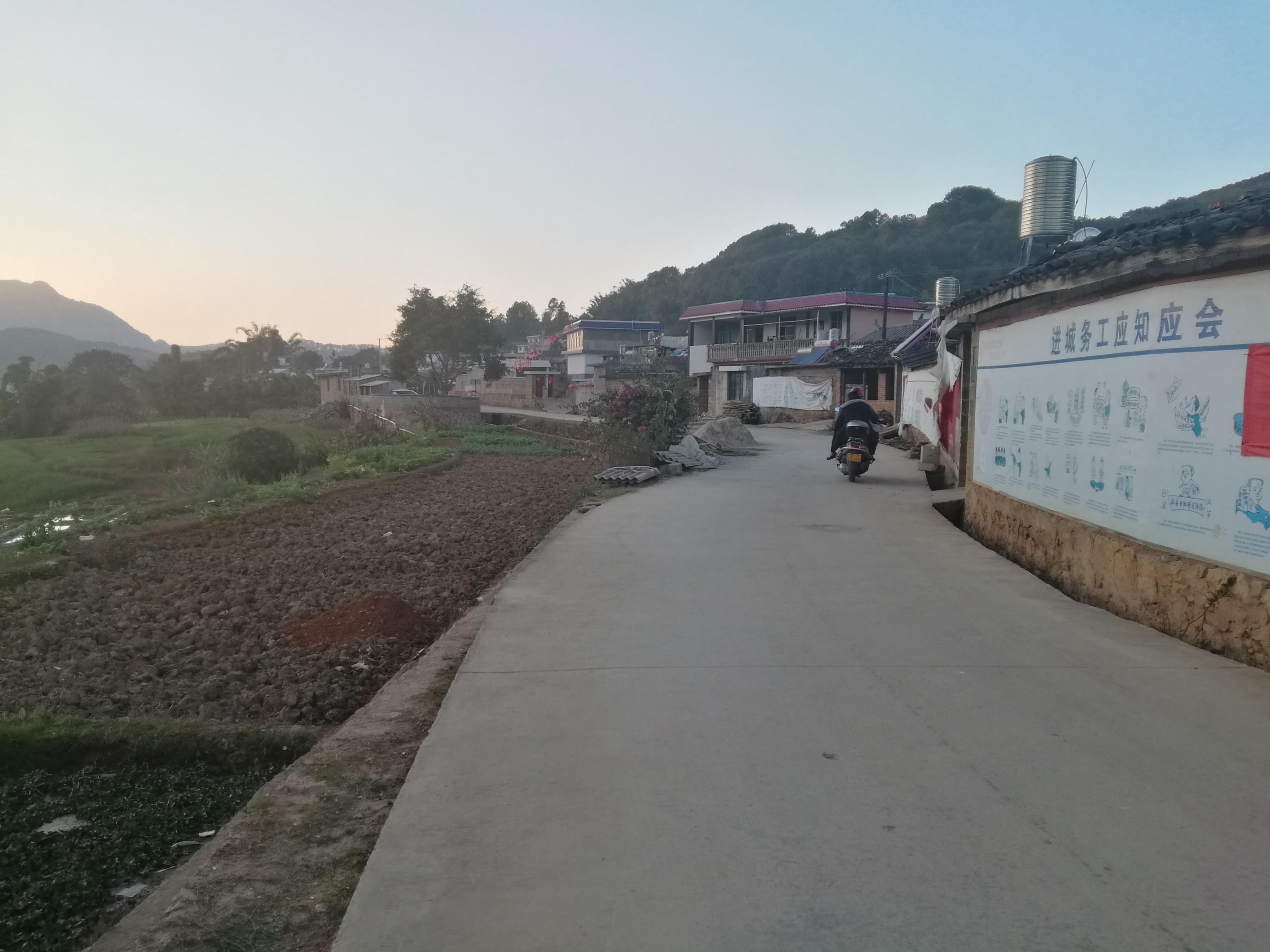宁洱镇金鸡村