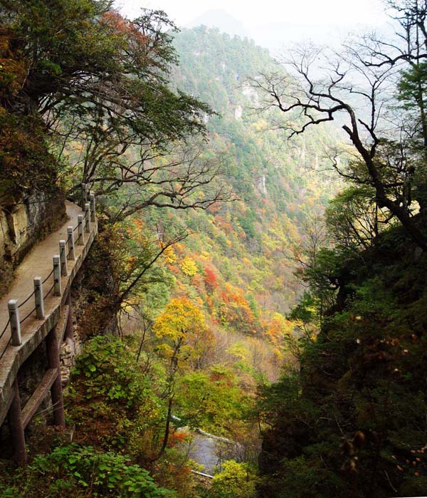  p>神农架国家森林公园位于 a target="_blank" href="/item/湖北省