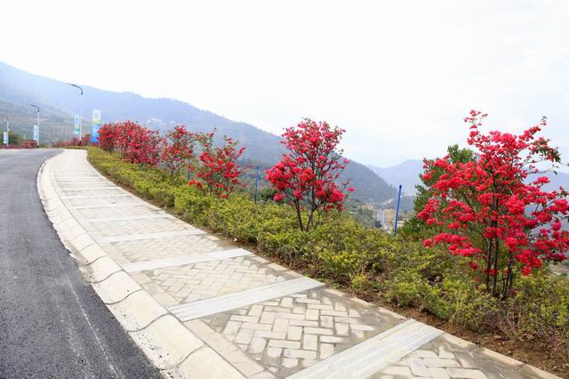  p data-id="gnzlm41lsc">阿署达花舞人间景区是攀枝花境内的景区