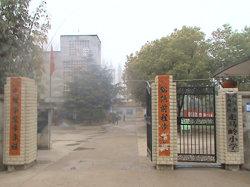 走马岭小学创建于1959年,是一所农场办的完全小