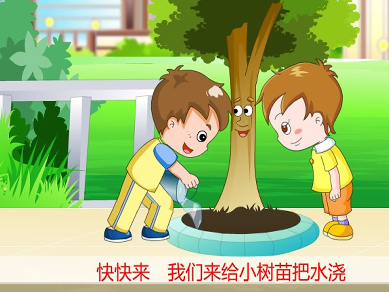 爱护小树苗