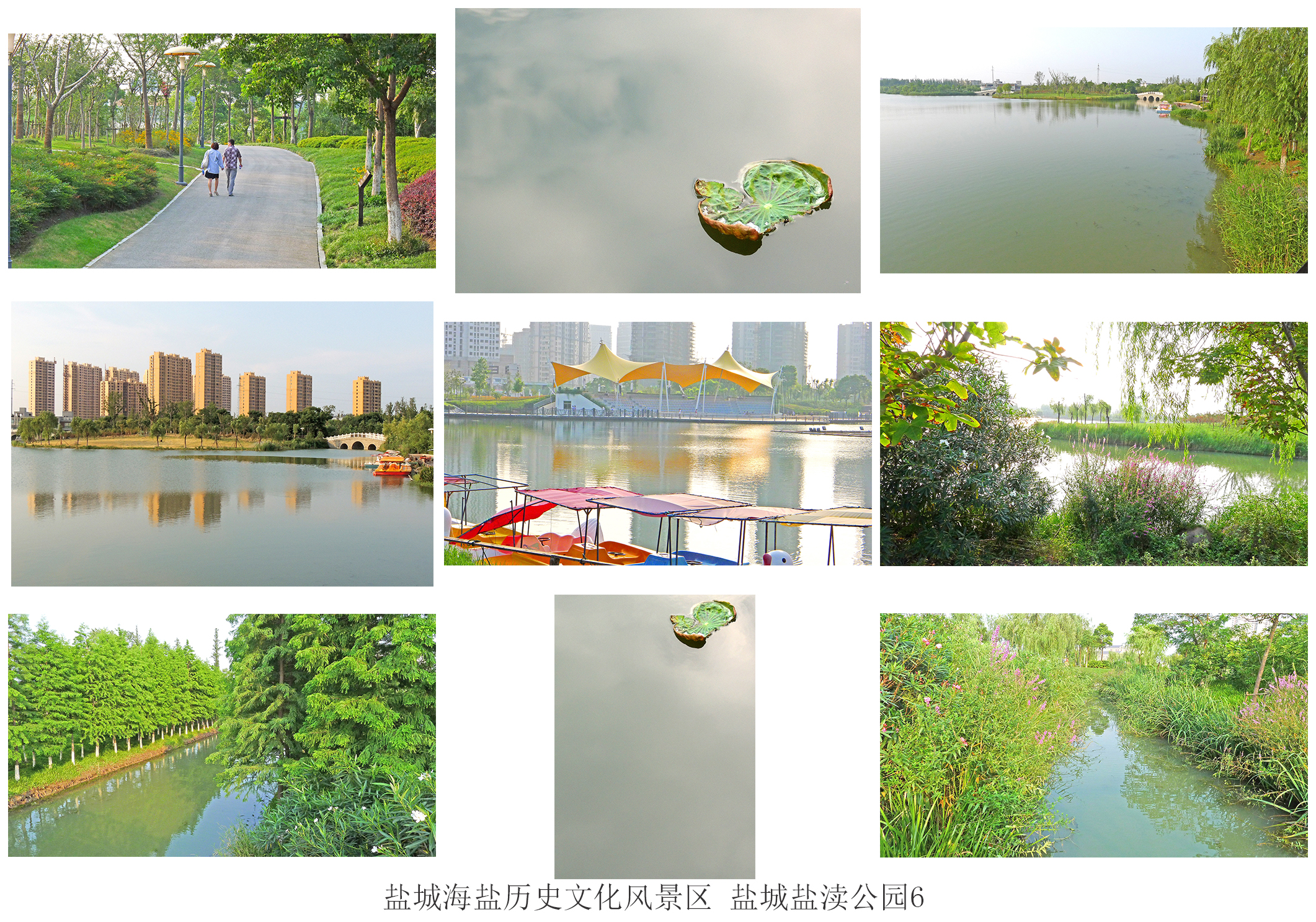  p data-id="gnx6u70joj">盐渎公园,位于盐城市 a target="_blank"