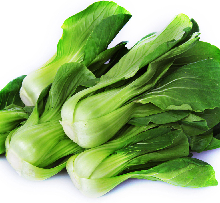  p>有机油菜,又叫油白菜, a target="_blank" href="/item/苦菜