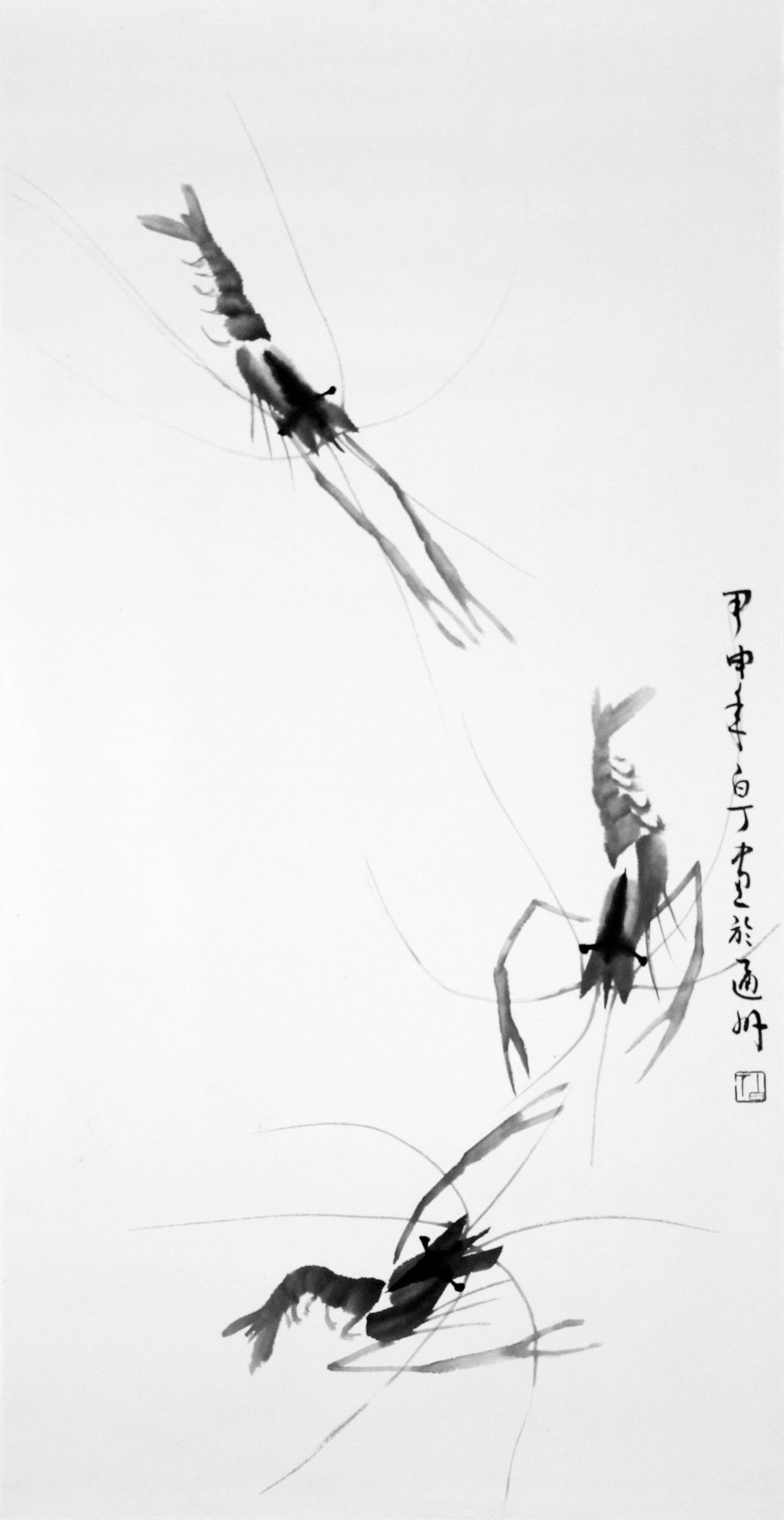 虾