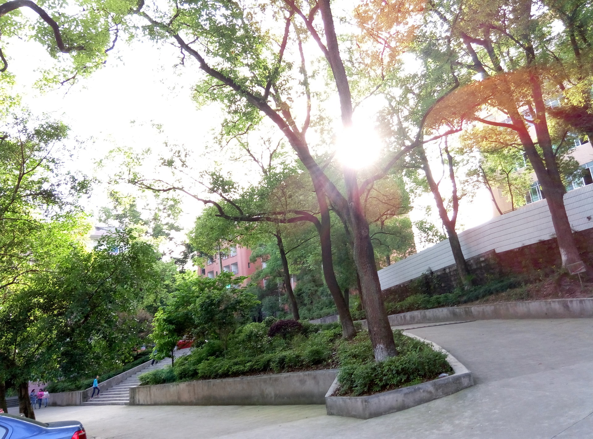 重庆长寿葛兰中学