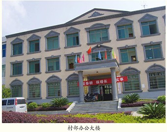 大瑶镇南山村