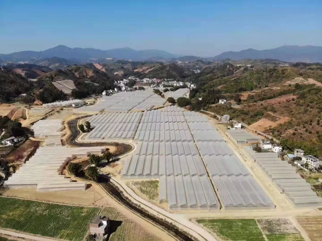 惠州市四季绿农产品有限公司