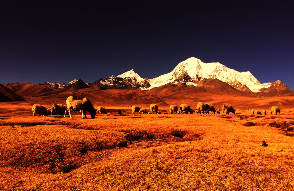 麻江乡,隶属于西藏自治区拉萨市 a target="_blank" href="/item/尼木