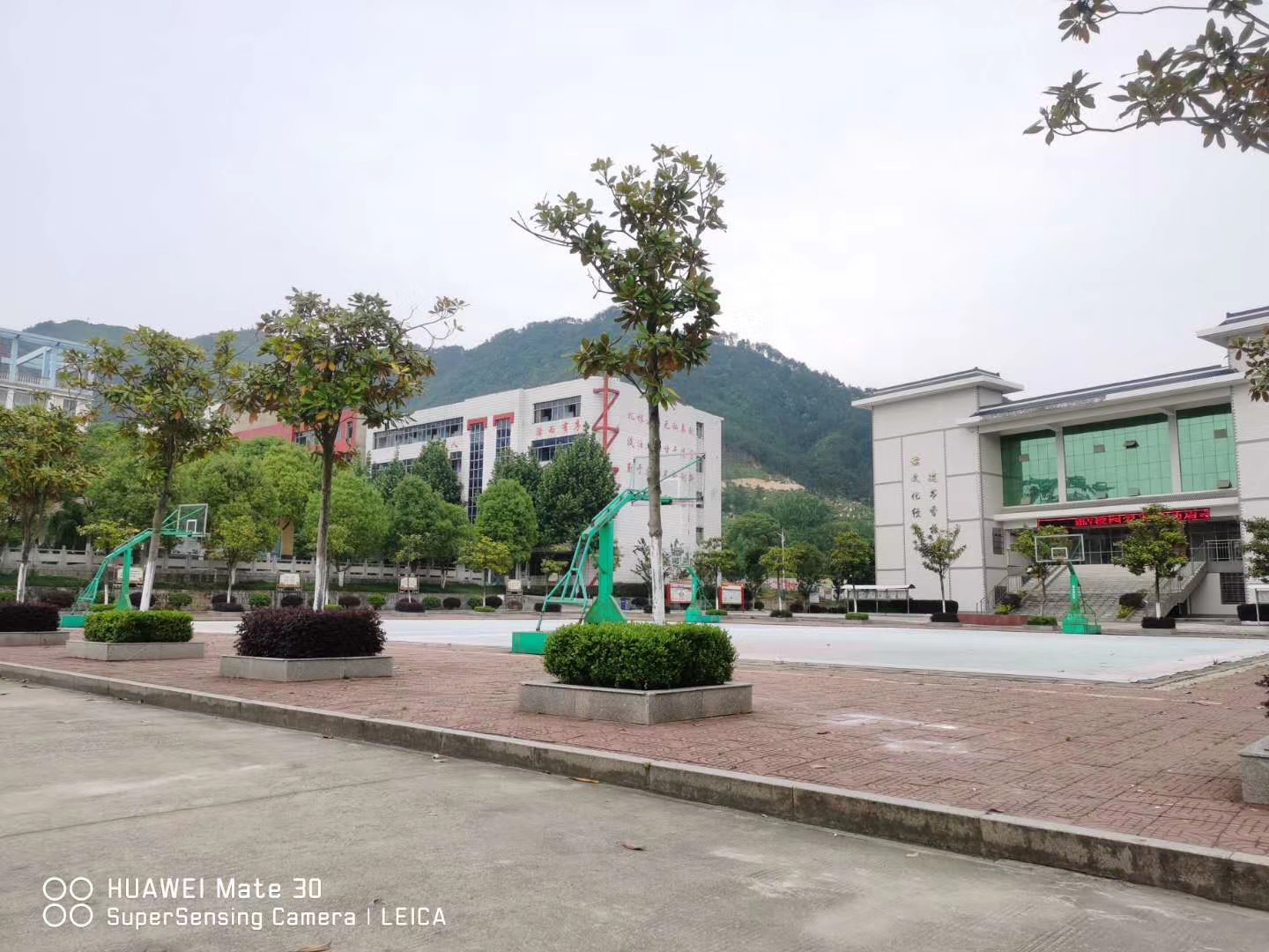 是湖北省蕲春县当时唯一的一所县级高中,有2800余名学生,38个教学班