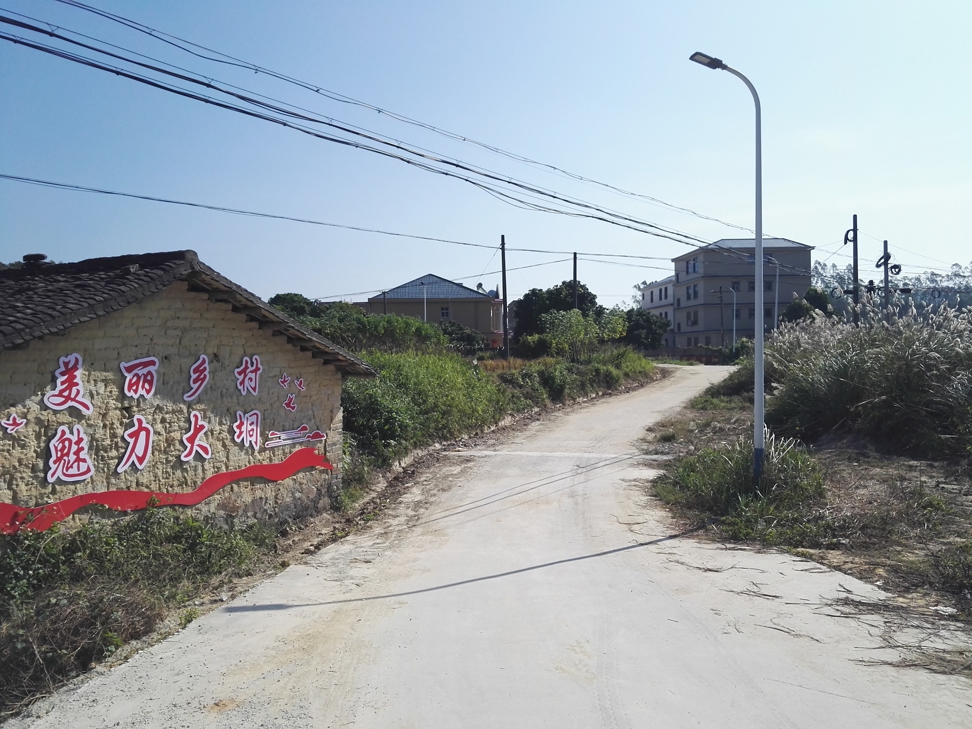 target="_blank" href="/item/博白县/7181872" data-lemmaid="7181