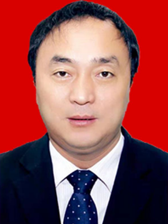  p>陈军锋,现任陕西省兴平市自然资源局党组书记,局长. /p>