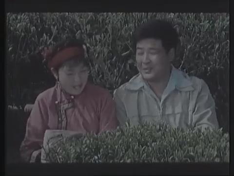 喜鹊岭茶歌