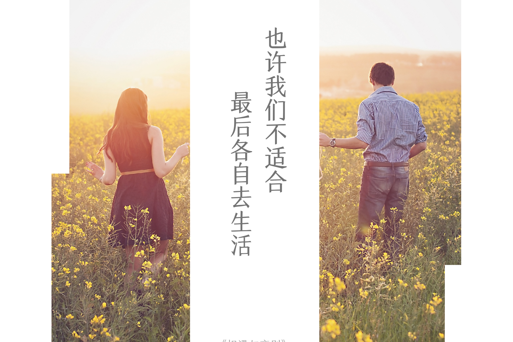 相遇与离别