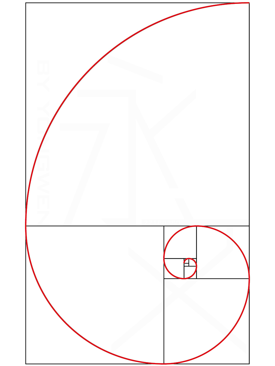 斐波那契螺旋线