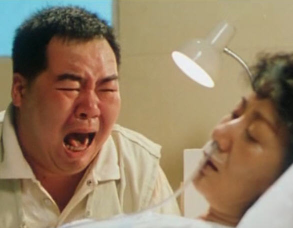 肥猫流浪记feimaoliulangji(1988)