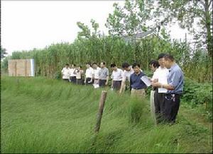  p>朴席镇位于 a href="#" data-lemmaid="5118164">仪征市 /a>东部, 