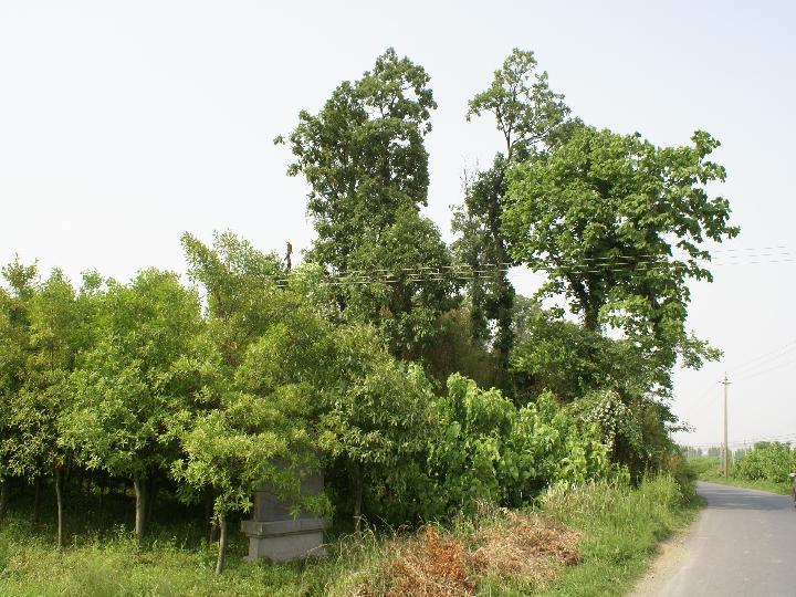  p data-id="gnyy0ujfar">下菰城遗址,位于浙江省湖州市城区 a target