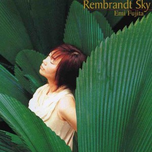  p>藤田惠美(英文名emifujita),1963年5月15日出生于东京都清濑市