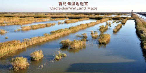 曹妃甸湿地迷宫