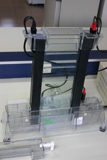 美国sequi-gengt测序电泳槽