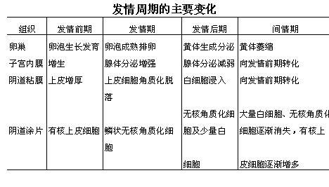  a href="#" data-lemmaid="4668637">雌性 /a>哺乳动物自初情期到 a