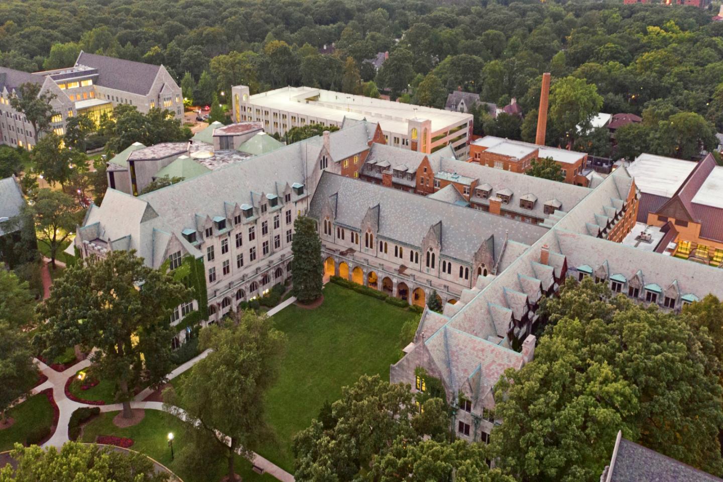 多米尼克大学