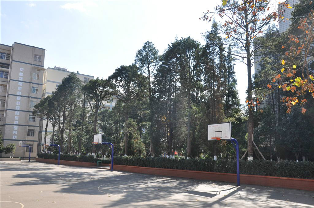  p>宣威市第六中学(宣威六中)位于 a target="_blank" href="/item