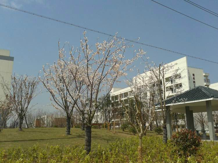  p>绍兴文理学院元培学院(shaoxing university yuanpei college)坐落