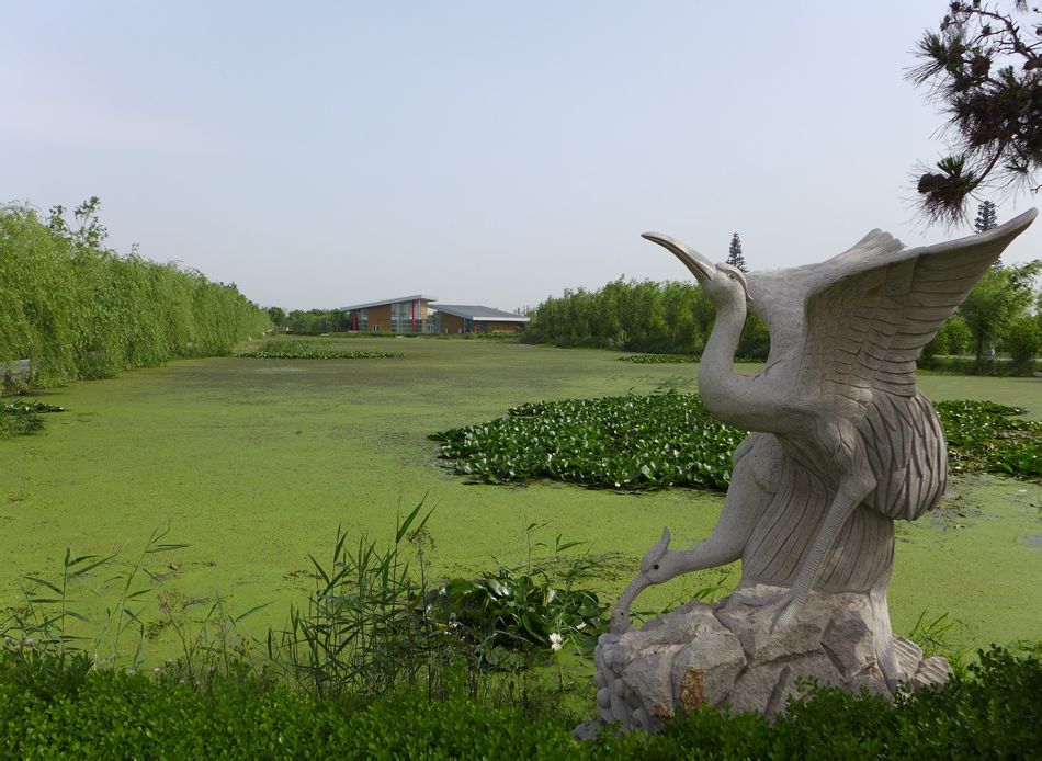 济宁美景小北湖