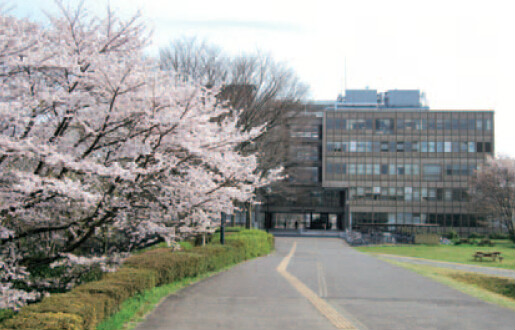  p data-id="gnt4agj1rd">筑波大学(英文:university of tsukuba)