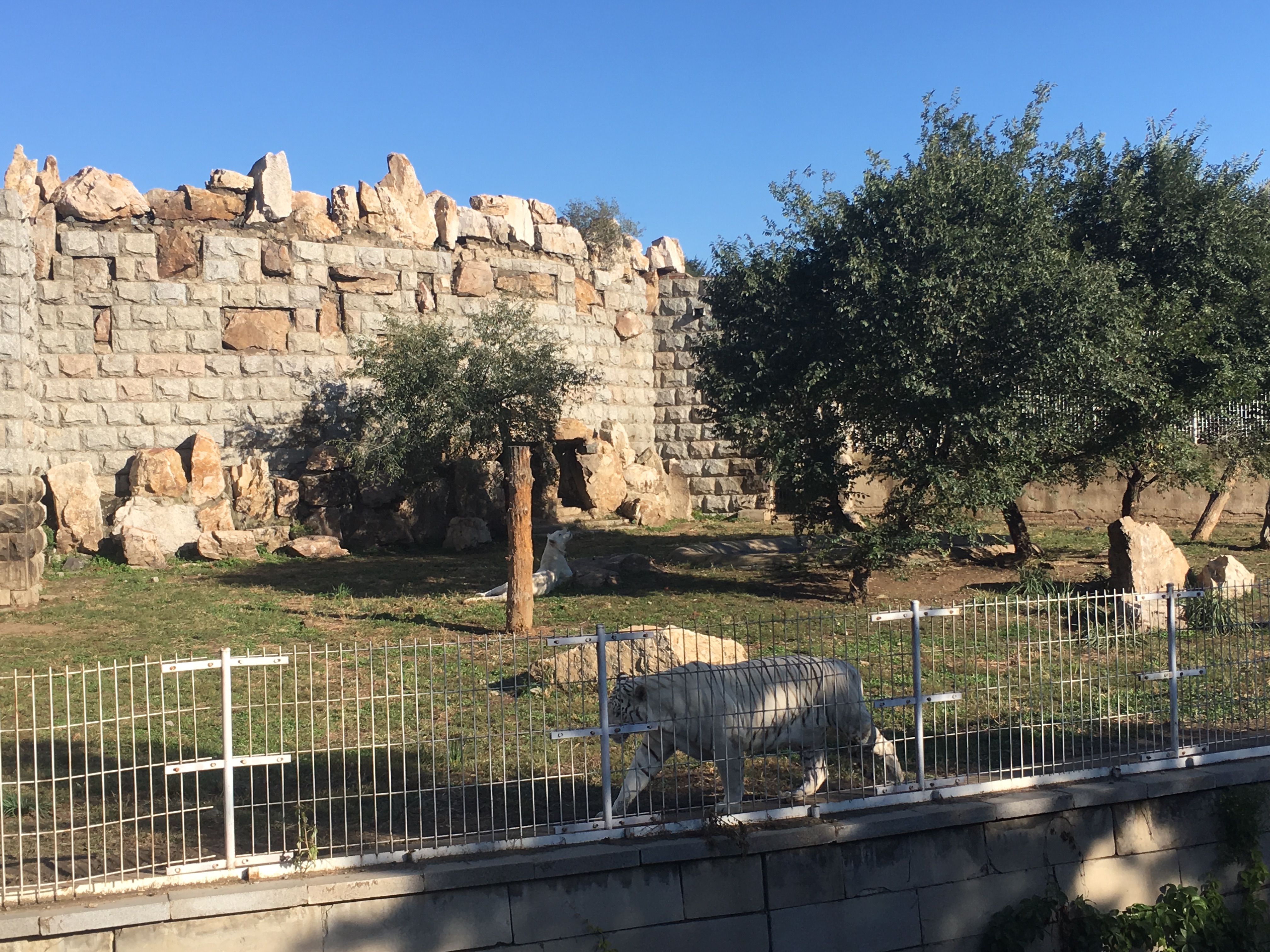 长春市动植物公园