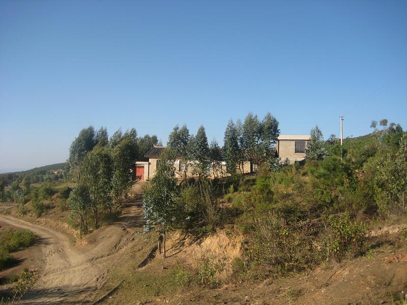  p data-id="gn6rpvv2av">该行政村隶属武定县万德乡,地处万德乡东边