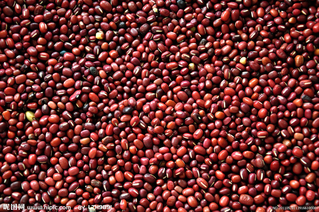  p>赤豆(学名: i>v i>i /i> /i> i>gna angularis   /i>(willd.