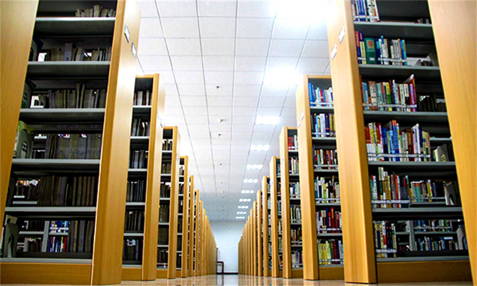 西安培华学院
