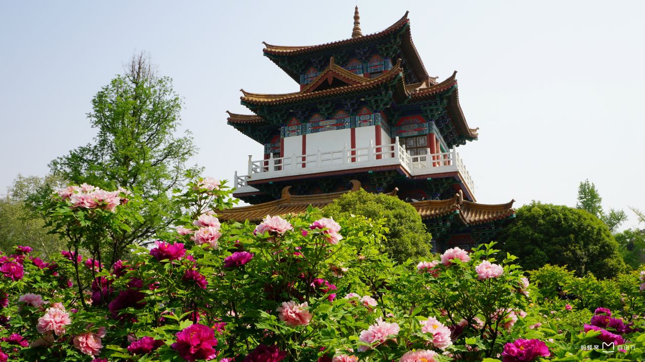 洛阳市王城公园