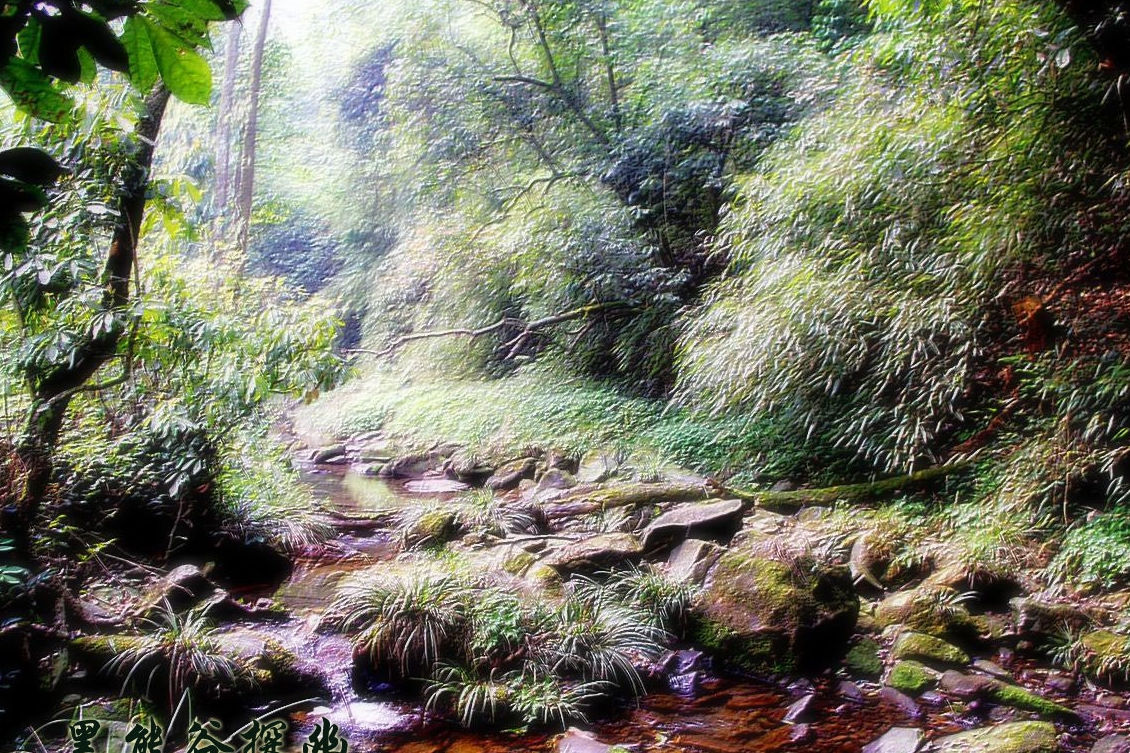 黑熊谷森林公园