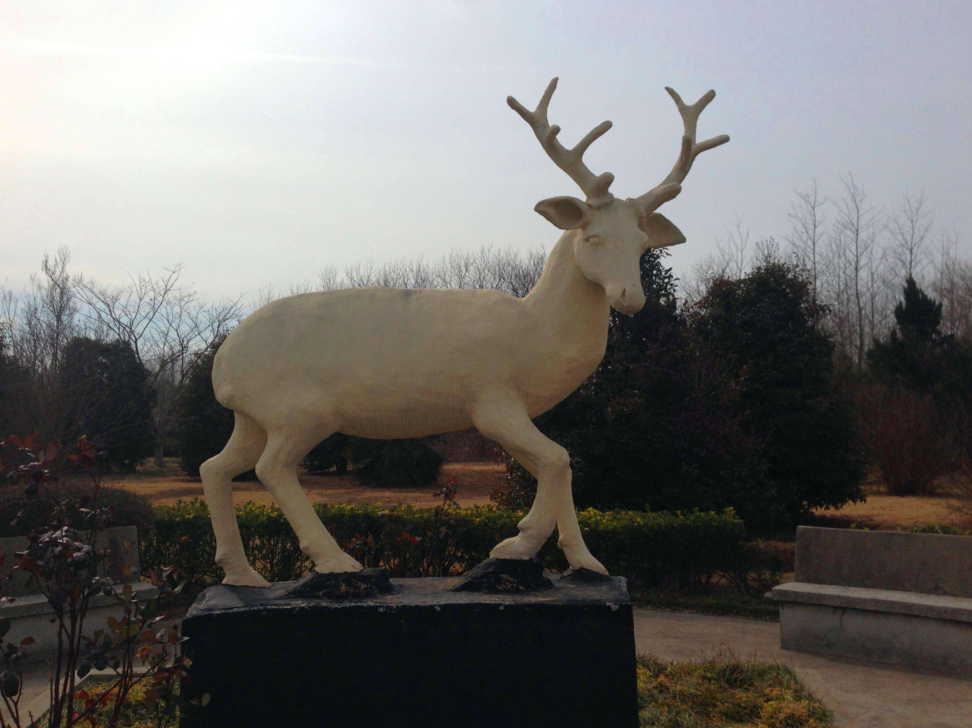 江苏省大丰麋鹿生态旅游度假区