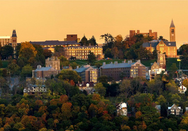 美国康乃尔大学