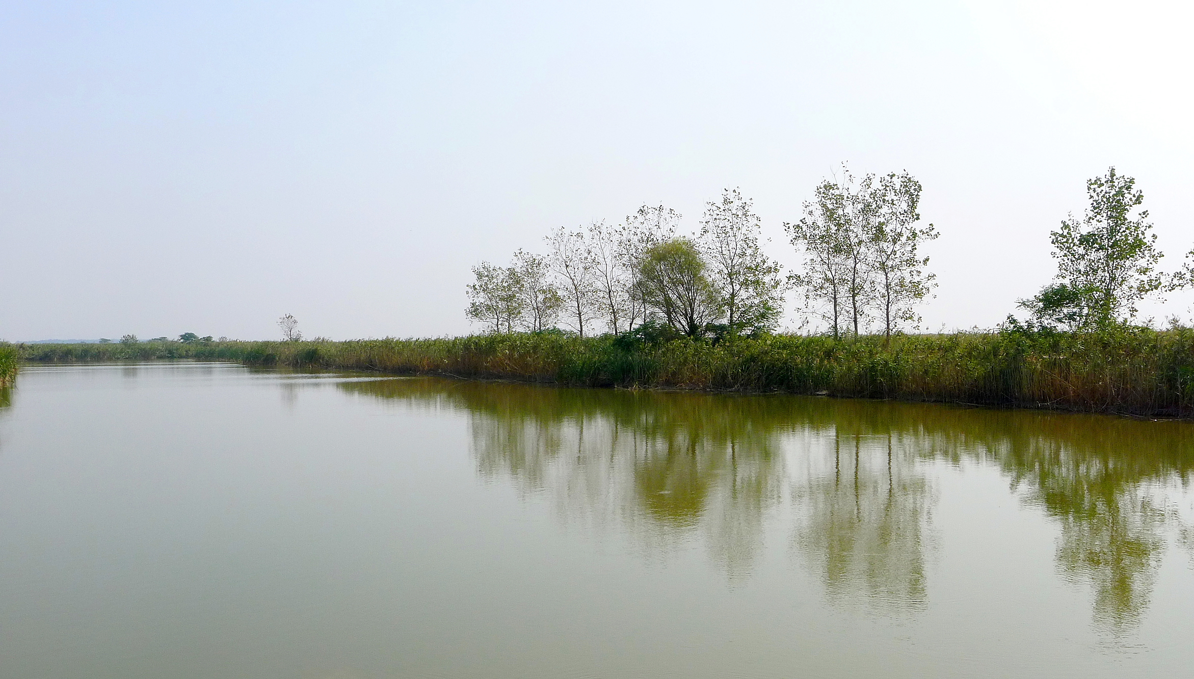 江苏盐城沿海滩涂湿地