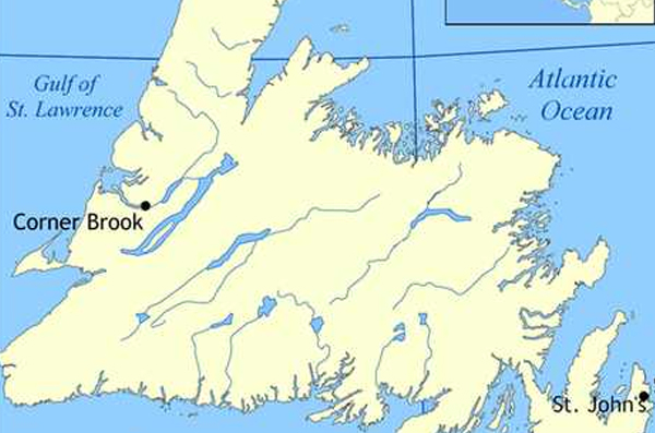 纽芬兰岛