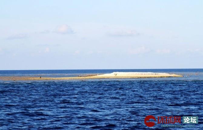 在北纬4度59分,东经112度37分,是在中国南海海域琼台礁上生长形成的一