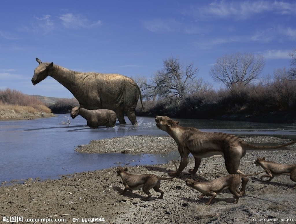 巨犀(indricotherium)