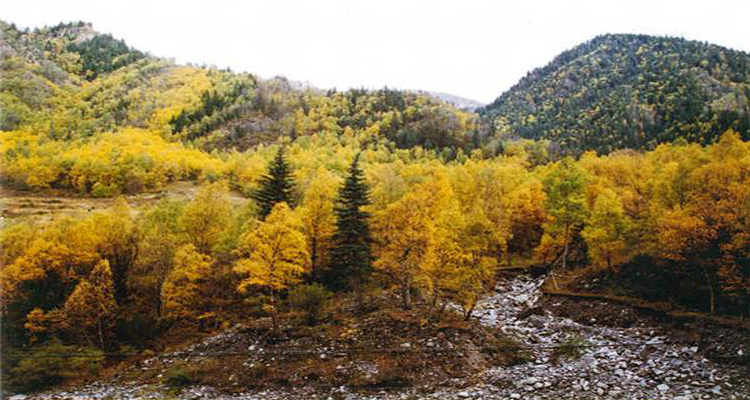麦秀国家森林公园